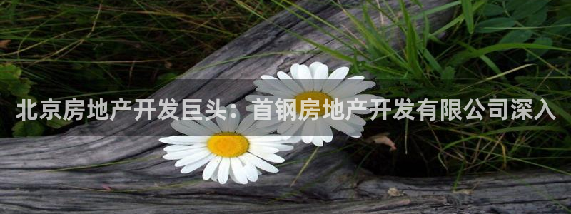 万向娱乐平台提现多久到账