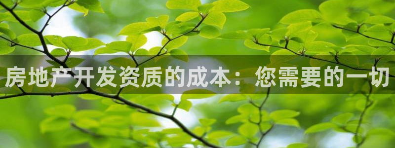 万向娱乐平台代理怎么做
