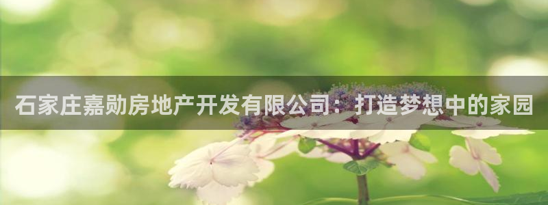 万向娱乐下载安装