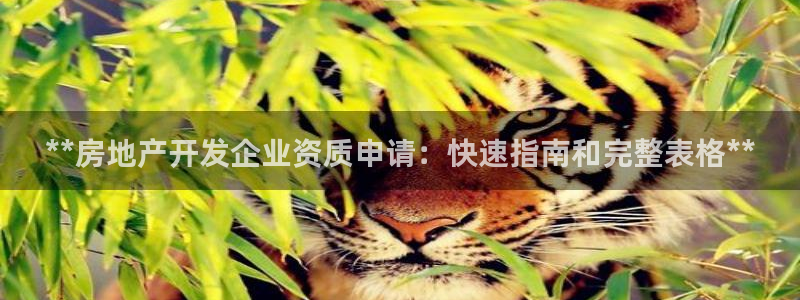 万向娱乐的联系方式是什么