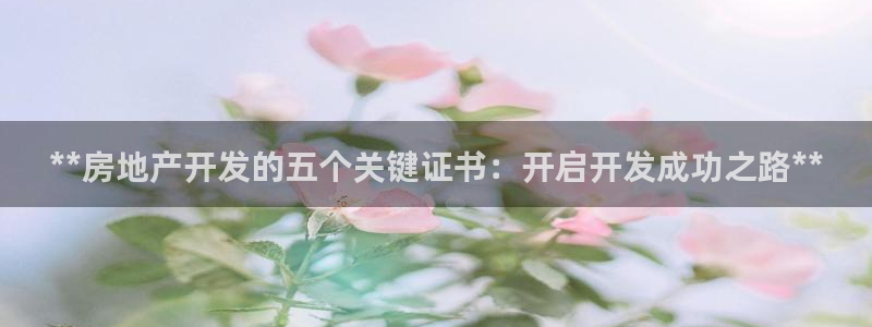 万向娱乐技术分享