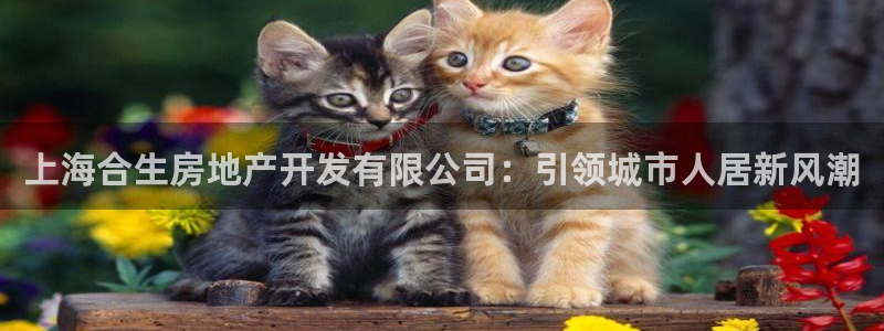 万向娱乐技术
