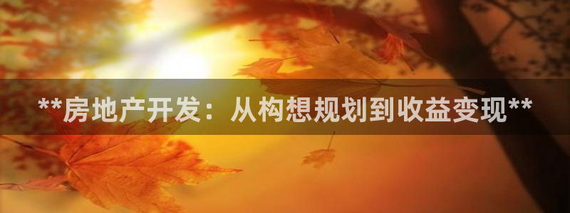 万向娱乐是野鸡台吗