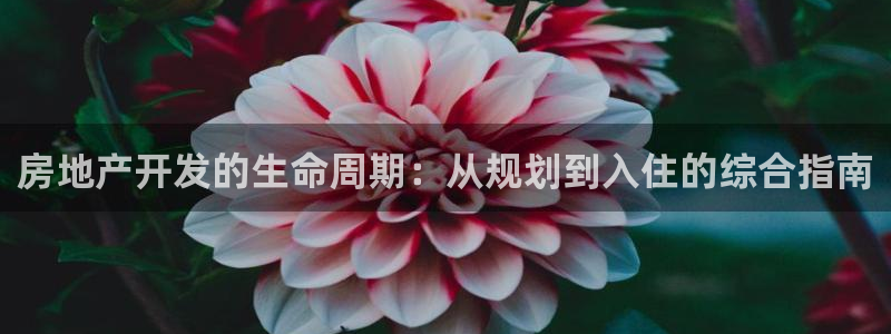 万向娱乐公司官网首页