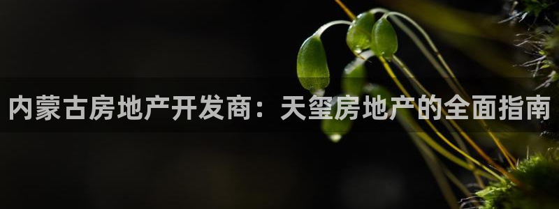 万向娱乐平台代理怎么样可靠吗