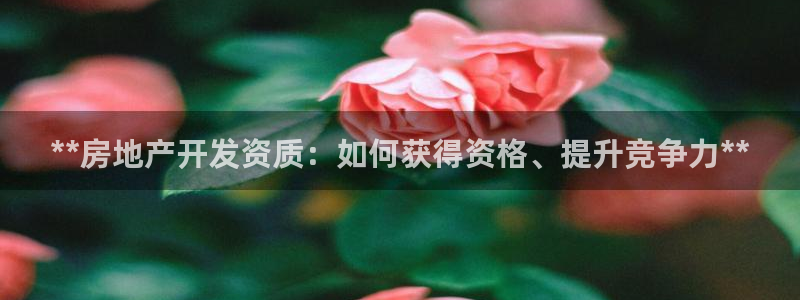 万向娱乐招商