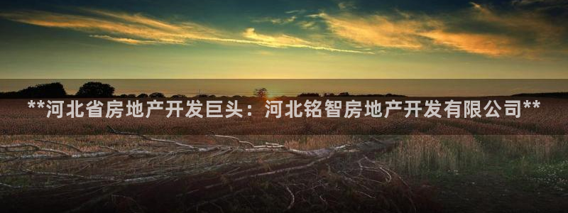 万向娱乐平台代理怎么样啊