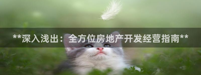 万向娱乐老板