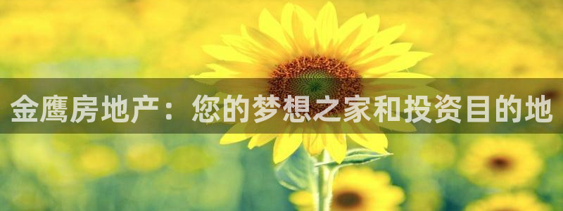 万向娱乐技术分享