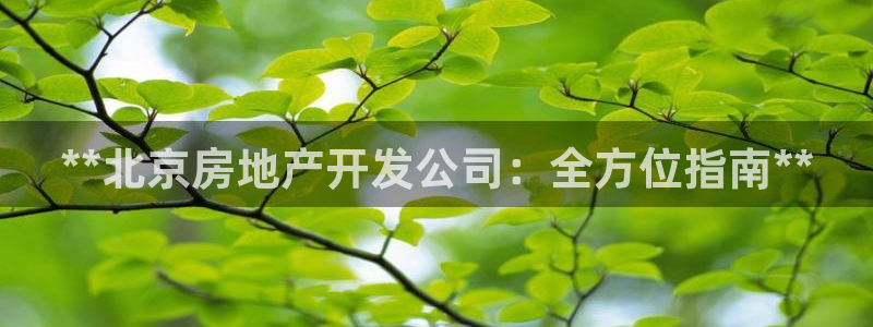 万向娱乐app下载