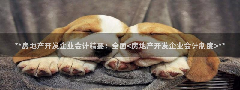 万向娱乐app下载