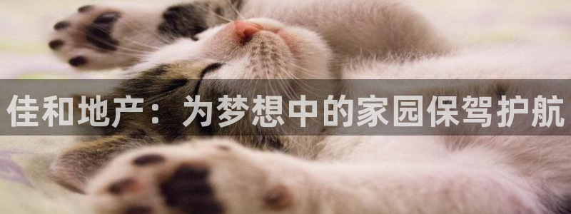 万向娱乐app下载