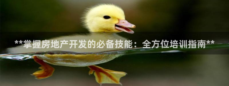 万向娱乐技术分享