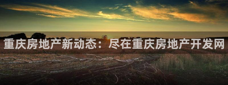 万向娱乐app下载安装