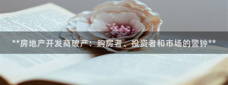 万向娱乐平台代理怎么做