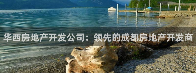 万向娱乐平台代理怎么做