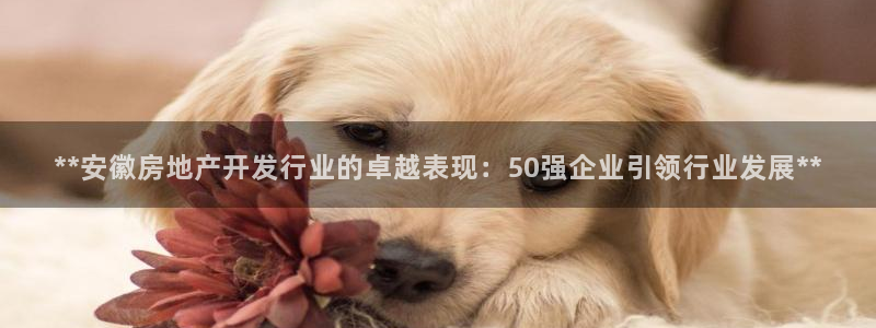万向娱乐官网下载