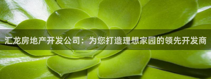 万向娱乐首页