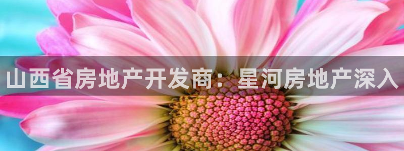 万向娱乐