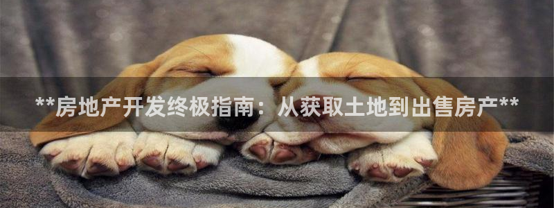 万向娱乐下载安装