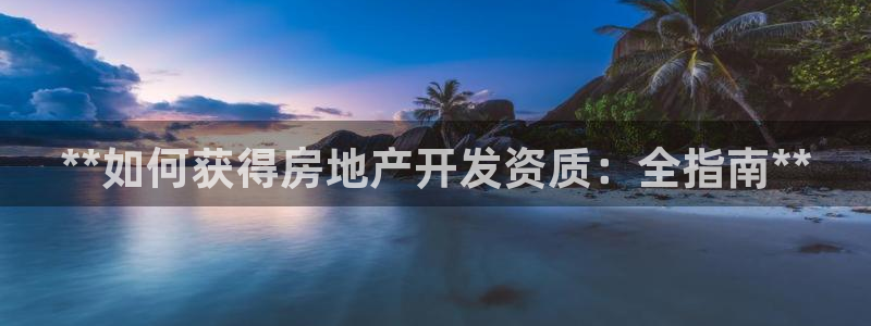 万向娱乐老板