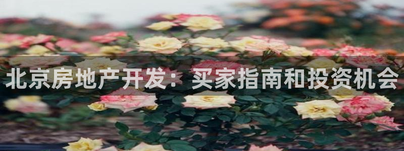 万向娱乐官网网址是多少