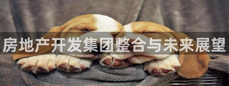 万向娱乐app