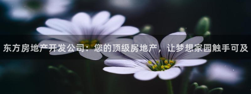 万向娱乐技术