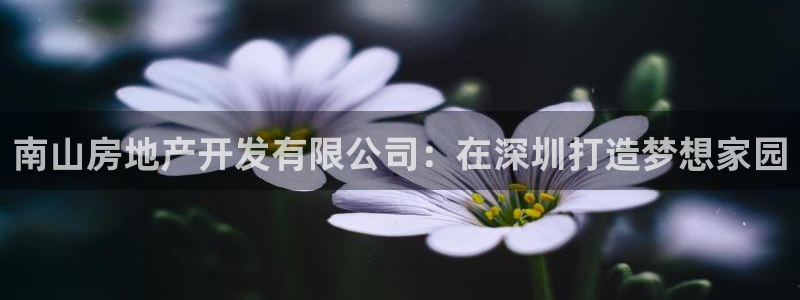 万向娱乐官网下载安装手机版