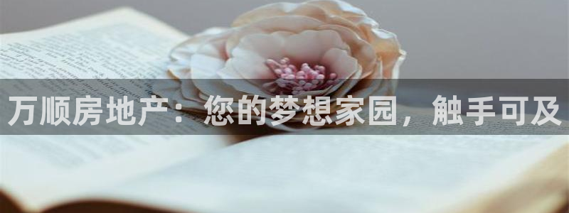 万向娱乐平台代理怎么做的