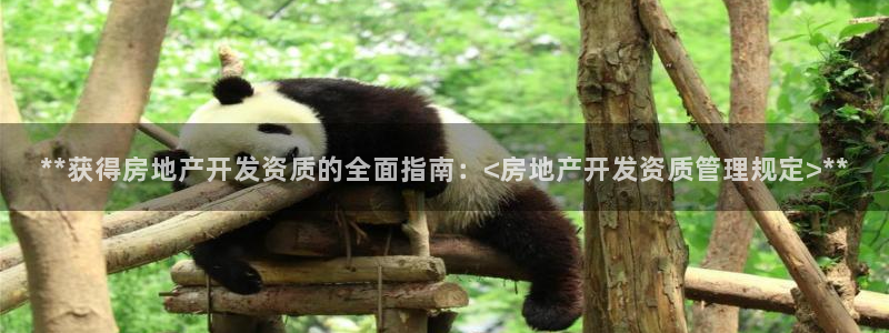 万向娱乐代理好看视频