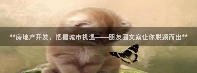 万向娱乐技术