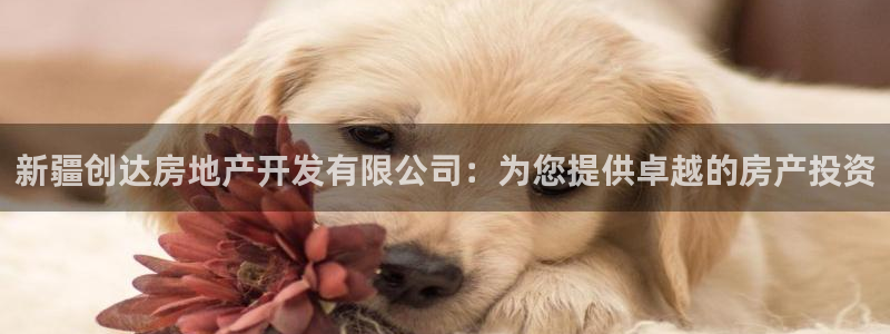 万向娱乐官网下载安装苹果