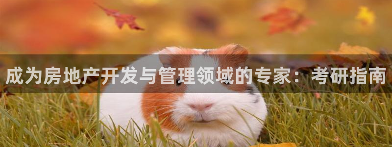 万向娱乐老板