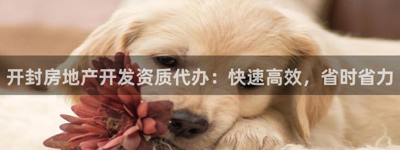 万向娱乐官网网址是什么
