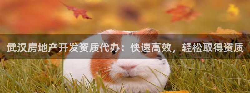 万向娱乐代理好看视频是真的吗