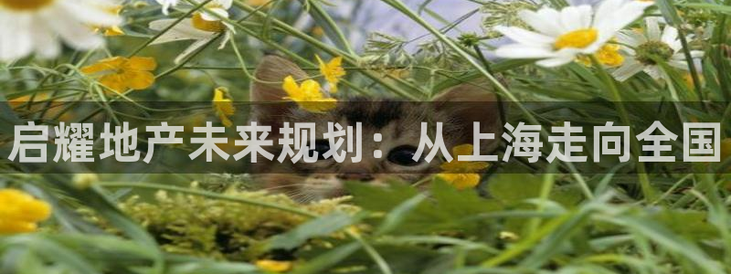 万向娱乐挂机