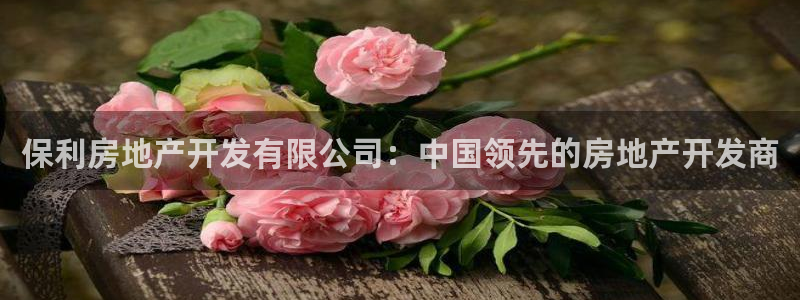 万象游戏代理