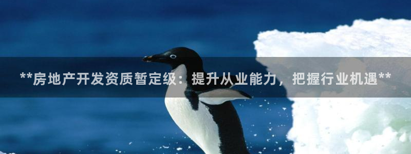 万向娱乐平台代理怎么样可靠吗