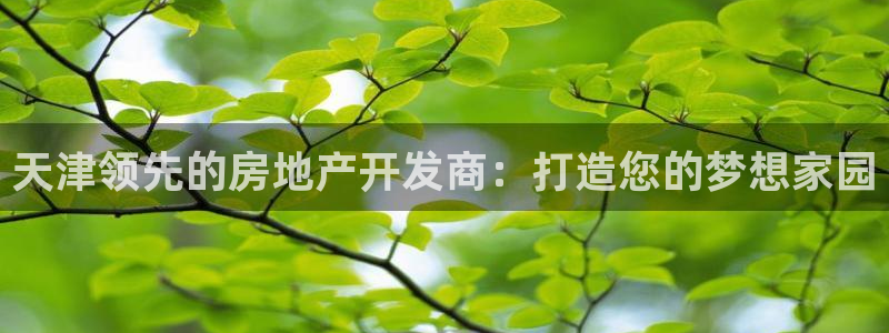 万向娱乐app下载安装