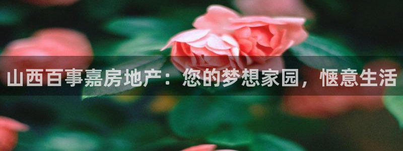 万向娱乐app下载官网