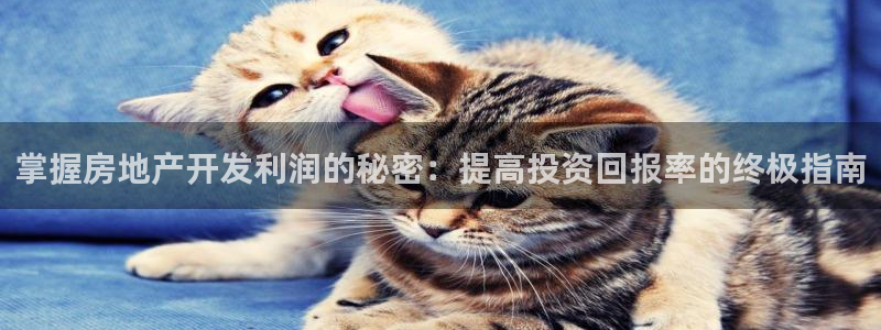 万向娱乐