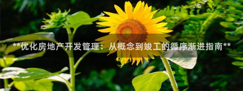 万能娱乐代理网址