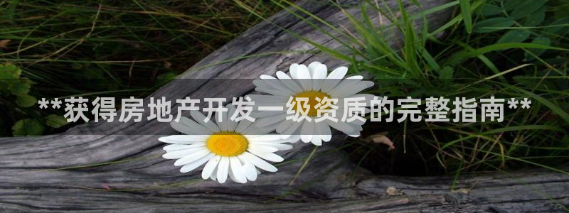 万向娱乐平台代理怎么做赚钱