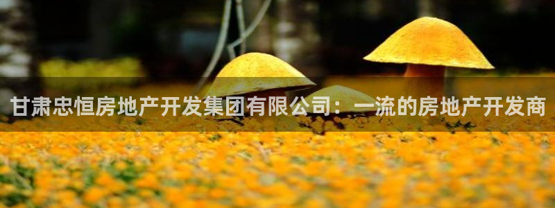 万向娱乐官网网址大全