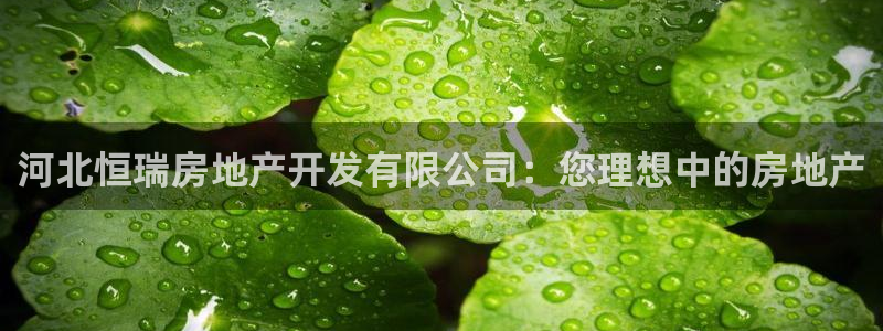 万向娱乐平台代理多少钱一个月