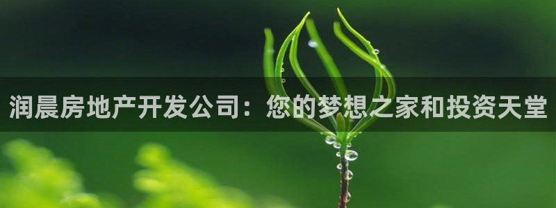 万向娱乐是野鸡台吗