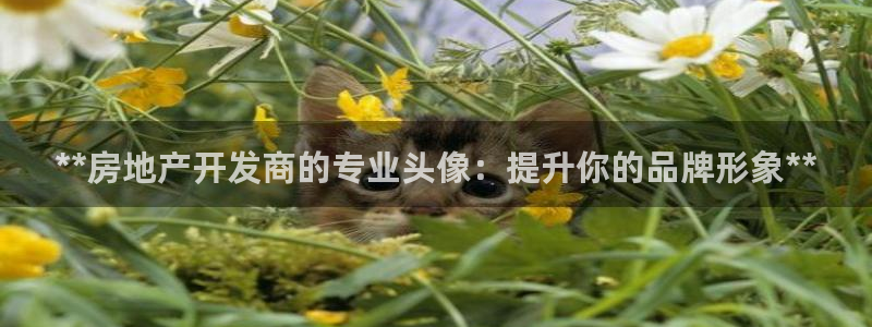 万向娱乐平台代理怎么做的