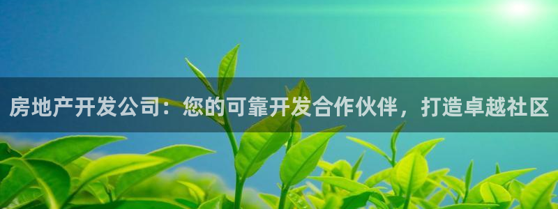 万向娱乐挂机
