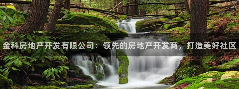 万向娱乐网址是什么